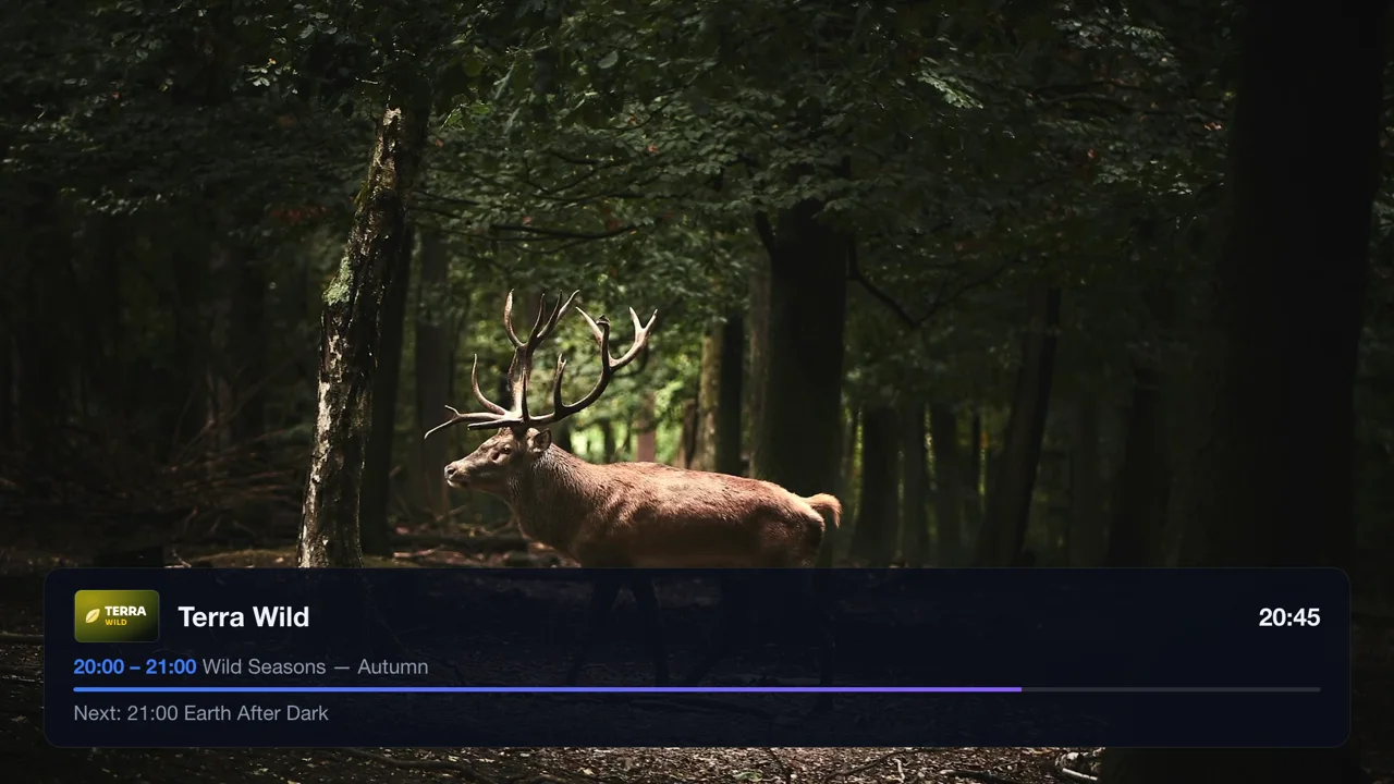 A channel in full screen with the info banner