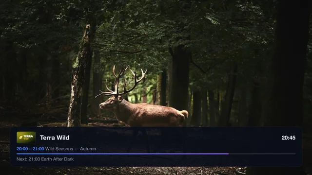 A channel playing in full screen